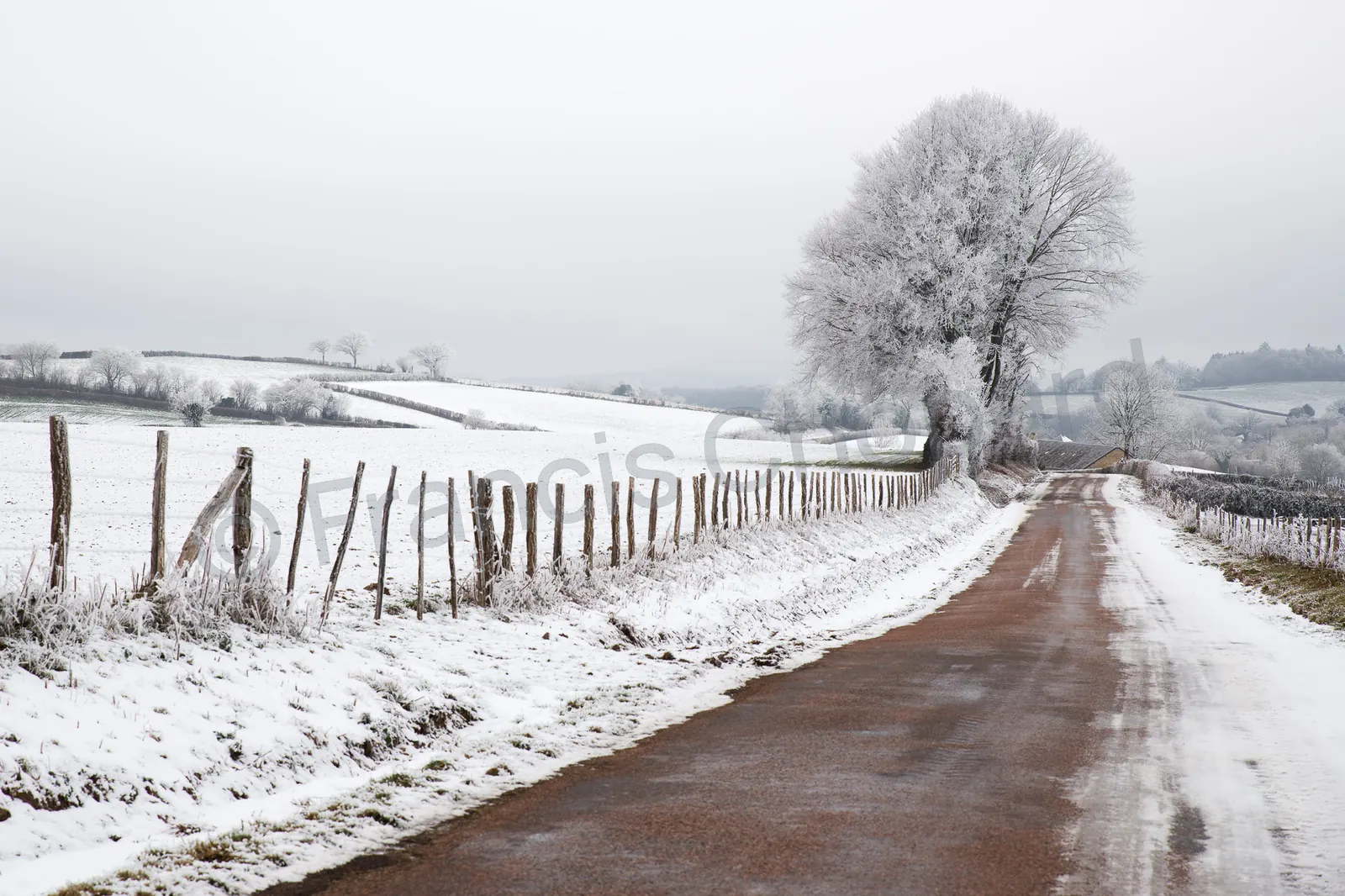 Une route enneigée du Morvan, bordée de clôtures et d’arbres givrés